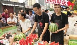 朝阳吃瓜群众,揭秘都市生活百态